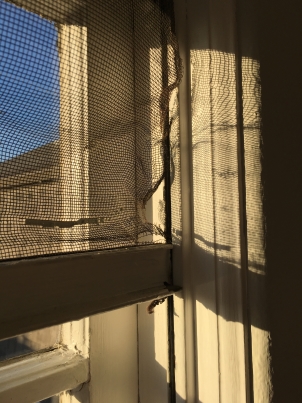 Home Window Screen Repair Solana Beach