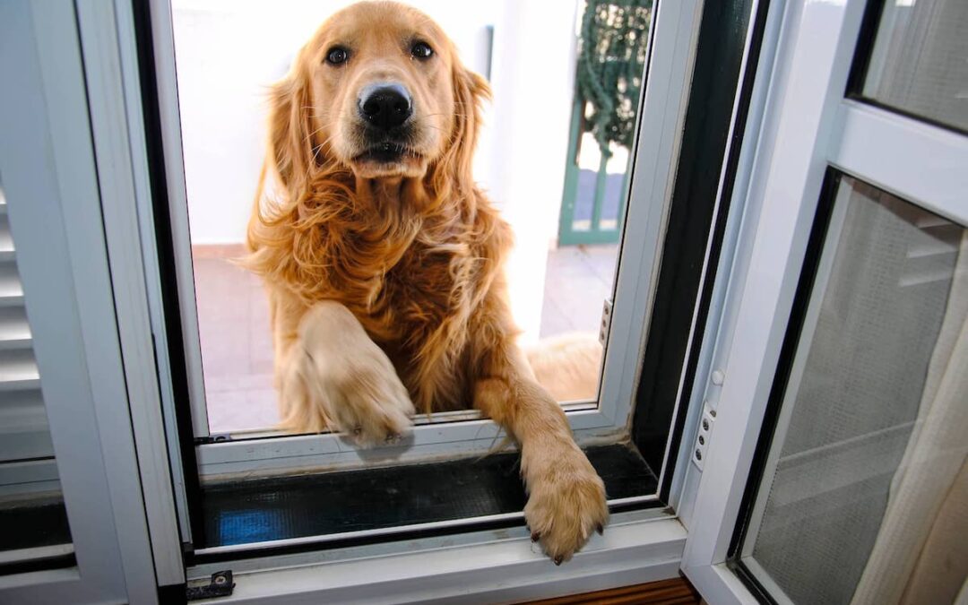 Pet Screen Repair Temecula