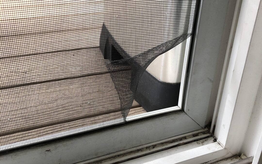 Screen Door Repair Vista