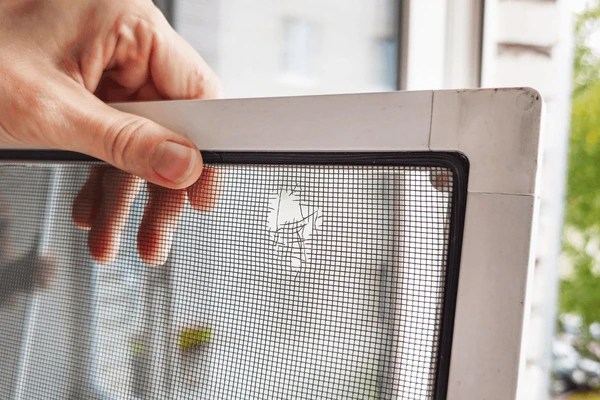 Window Screen Repair Chula Vista