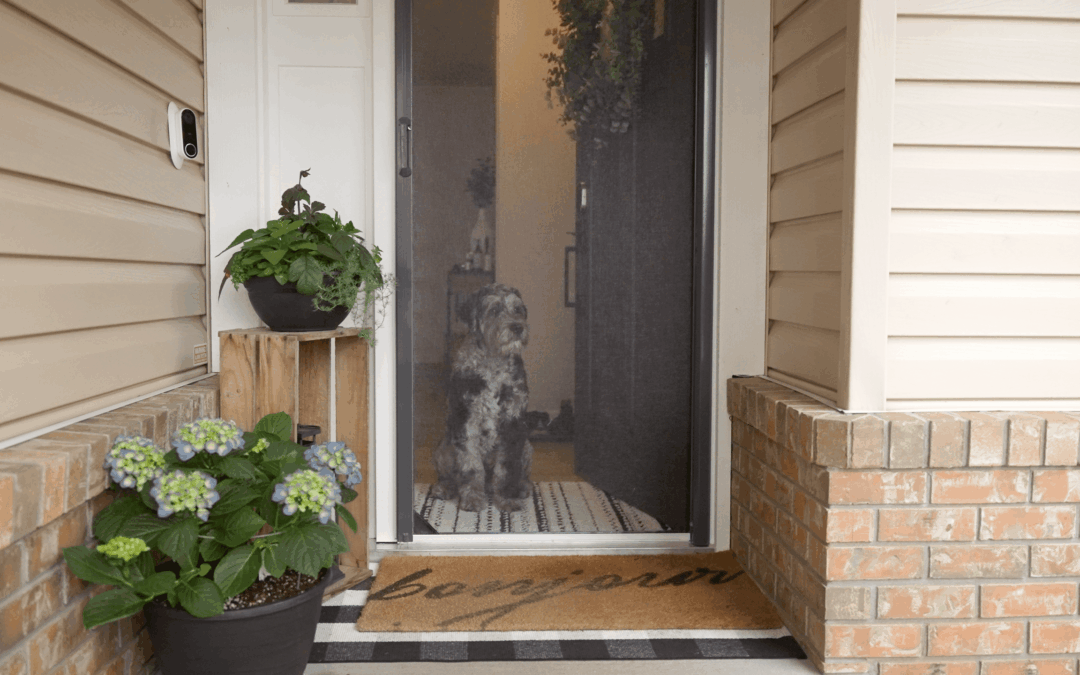 Pet Proof Retractable Screen Doors Chula Vista