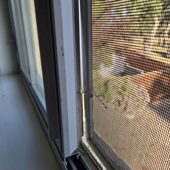 Window Screen Repair Carmel Valley