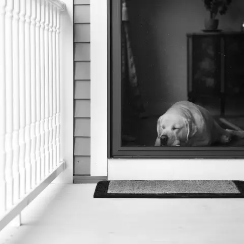 Pet Proof Retractable Screen Doors Rancho Peñasquitos