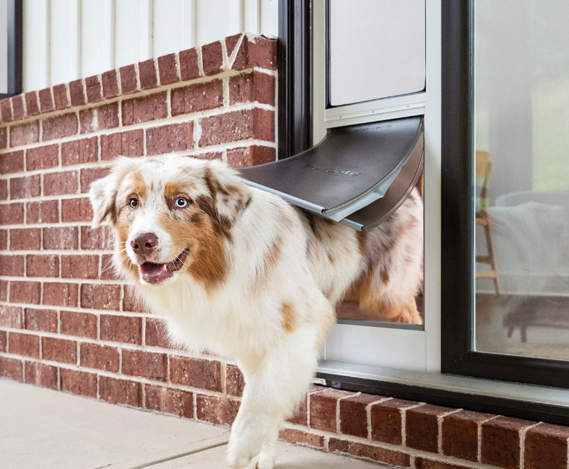 Pet Screen Repair Santee