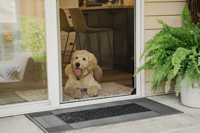 Pet Proof Retractable Screen Doors El Cajon