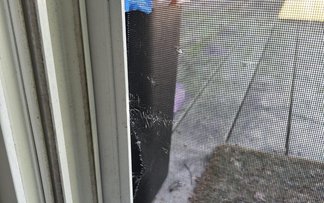 Screen Door Repair Clairemont