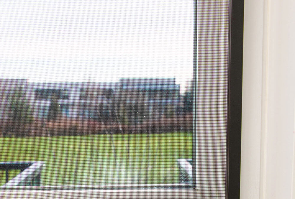 Window Screen Repair Rancho Peñasquitos