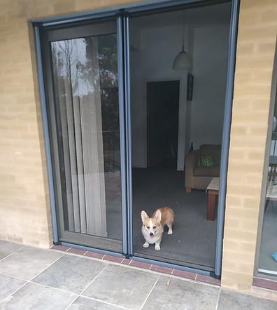 Pet Proof Retractable Screen Doors Coronado